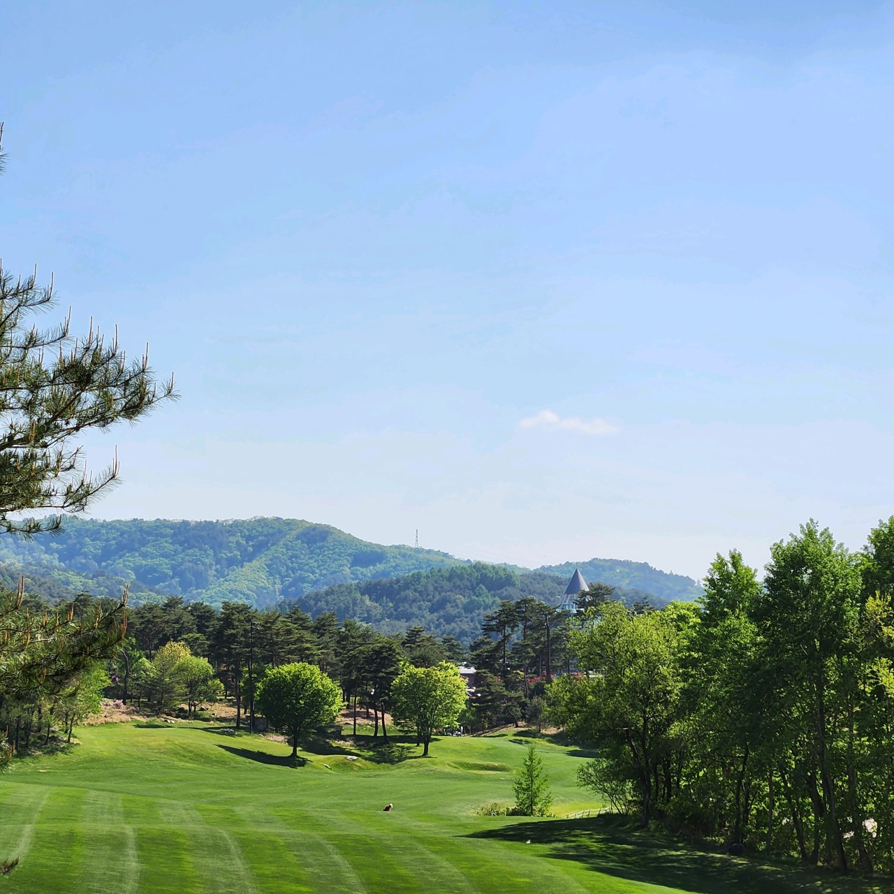 [강원 횡성군] 웰리힐리CC 1박2일
