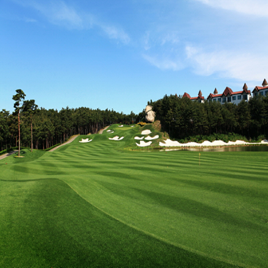 [강원 고성군] 파인리즈CC 1박2일