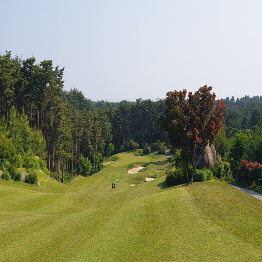 [강원 강릉시] 샌드파인CC 1박2일