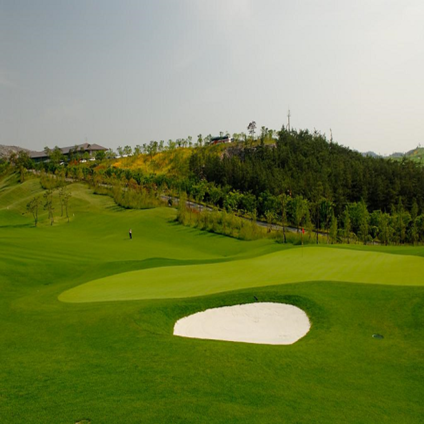 [전남 함평군] 함평엘리체CC 1박2일