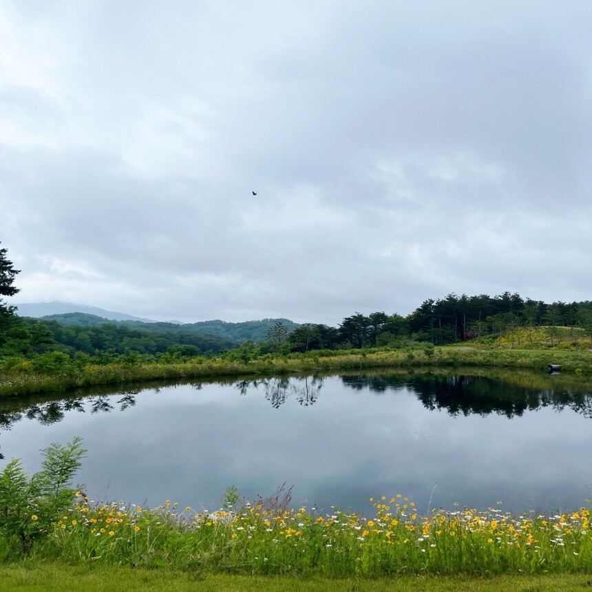 [경북 울진군] 울진마린CC 1박2일