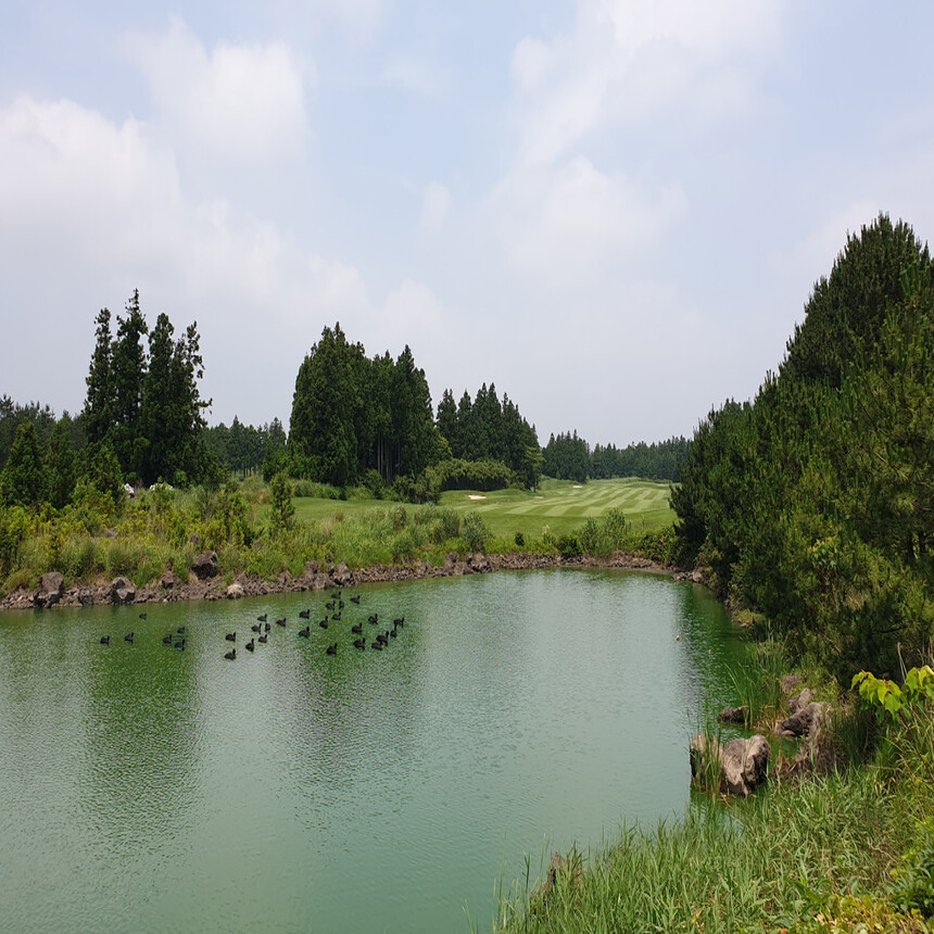 [제주도] 2인출발 가능 사이프러스+크라운+오라 2박3일