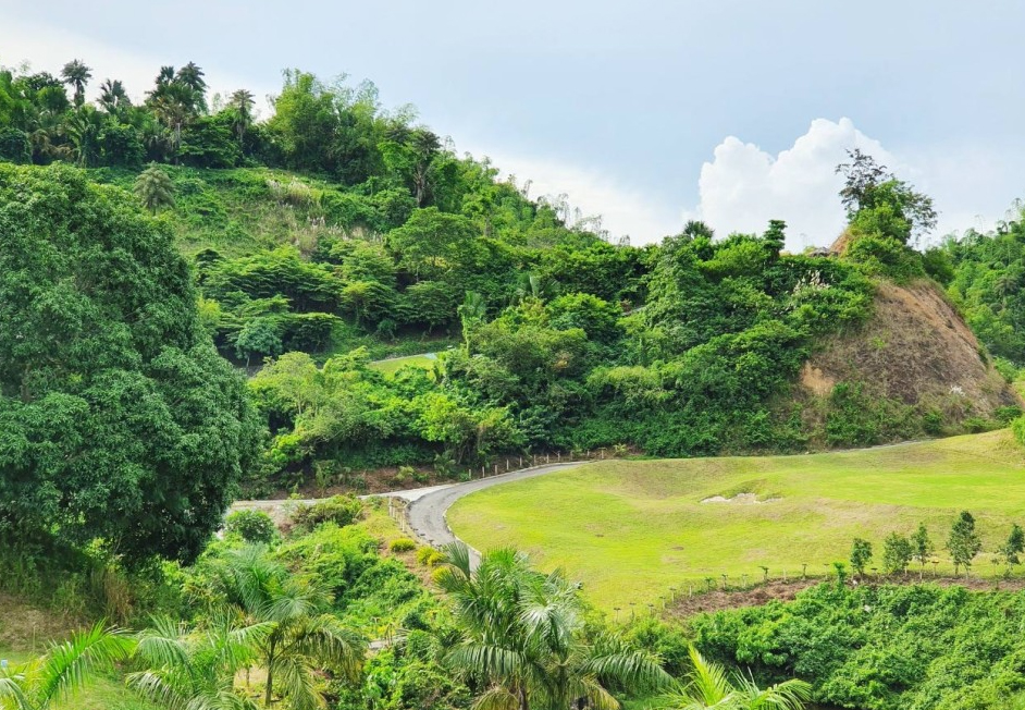세부 릴로안 골프 패키지