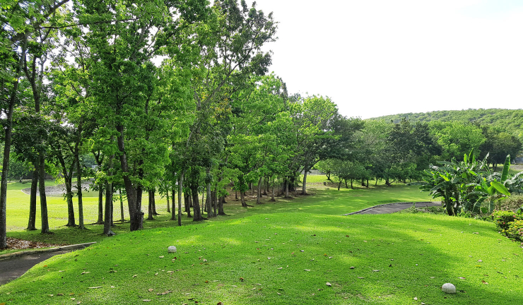 세부 품격 2색 골프 패키지