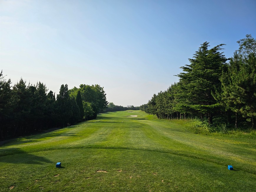 연태 3색 골프 패키지 