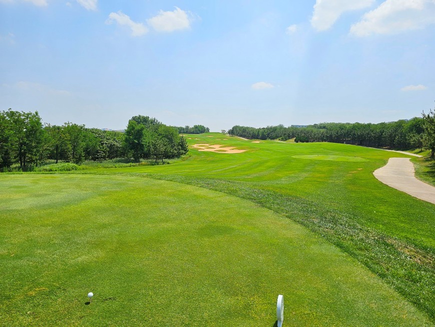 연태 3색 골프 패키지 