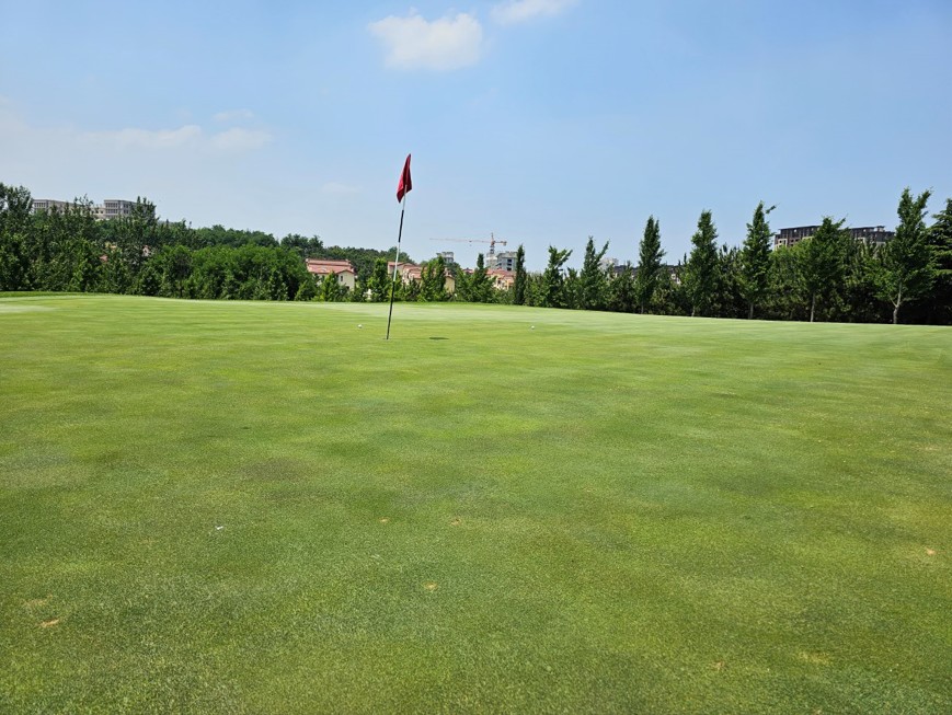 연태 단령 리조트 골프 패키지 