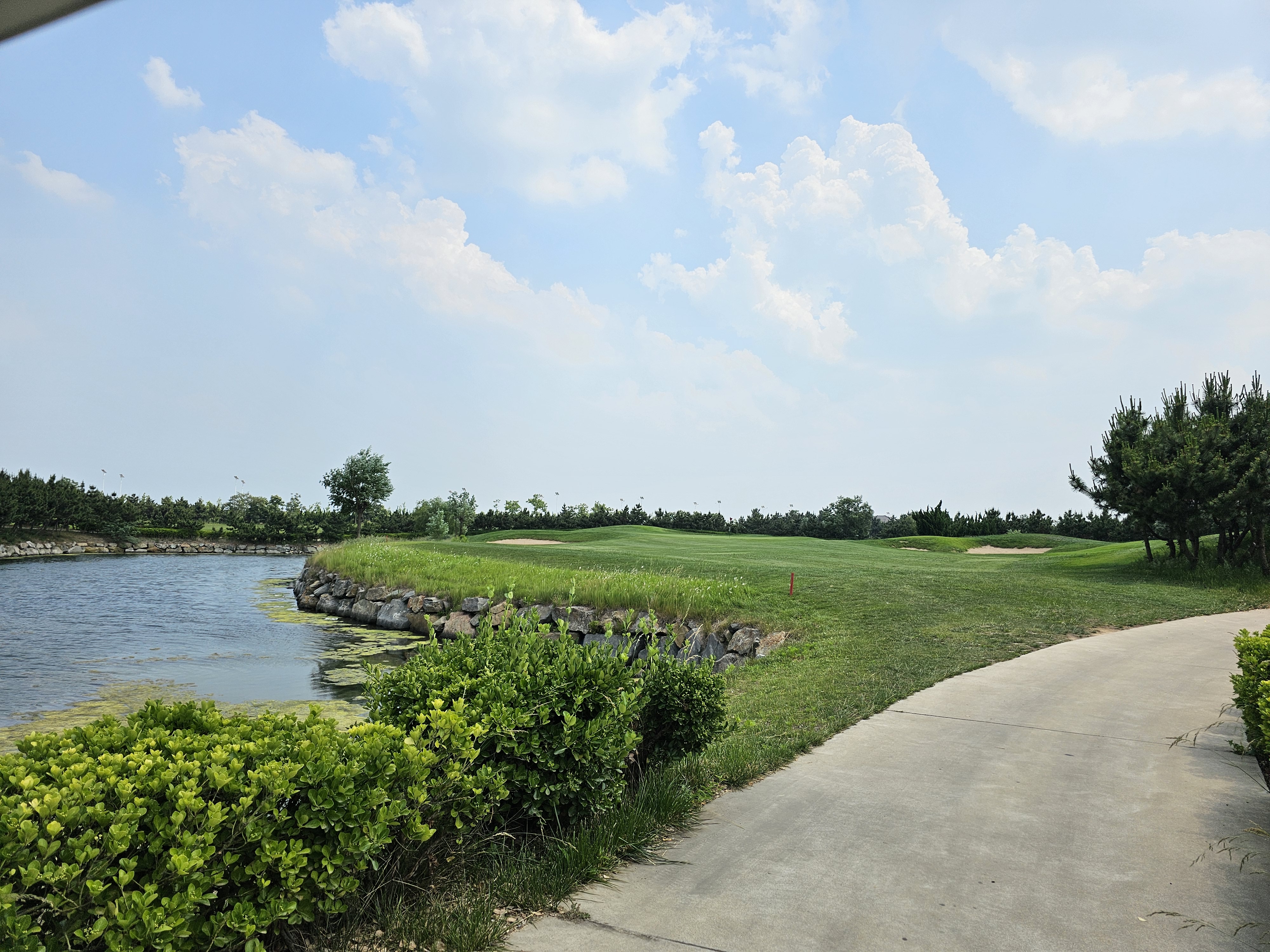 청도 그랜드 머큐어 3색 골프 패키지