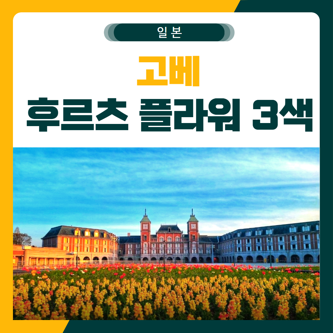 고베 후르츠 플라워 리조트 3색 골프 패키지