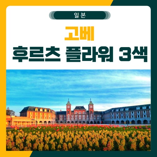 고베 후르츠 플라워 리조트 3색 골프 패키지