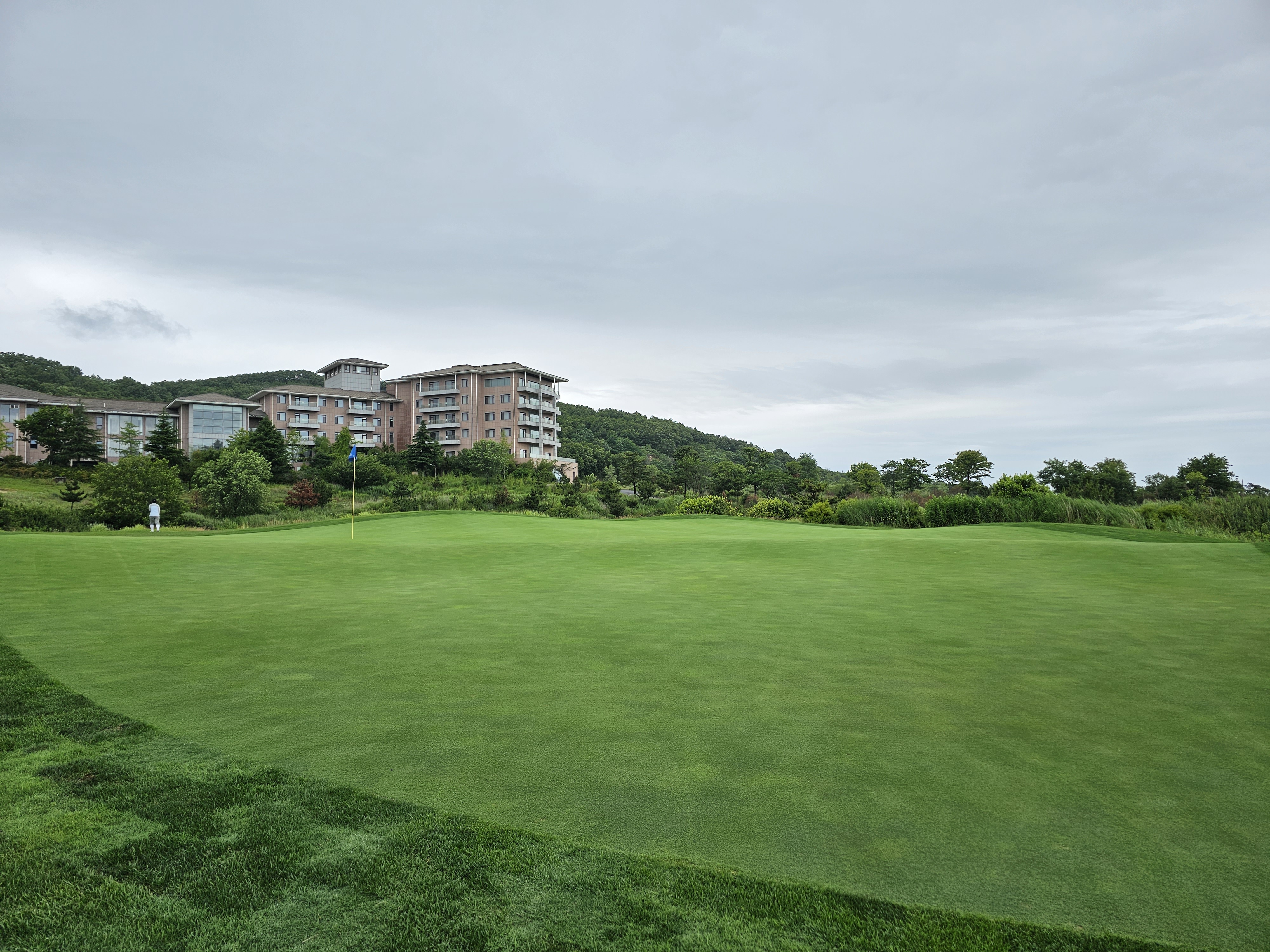 위해 실속 3색 골프 패키지