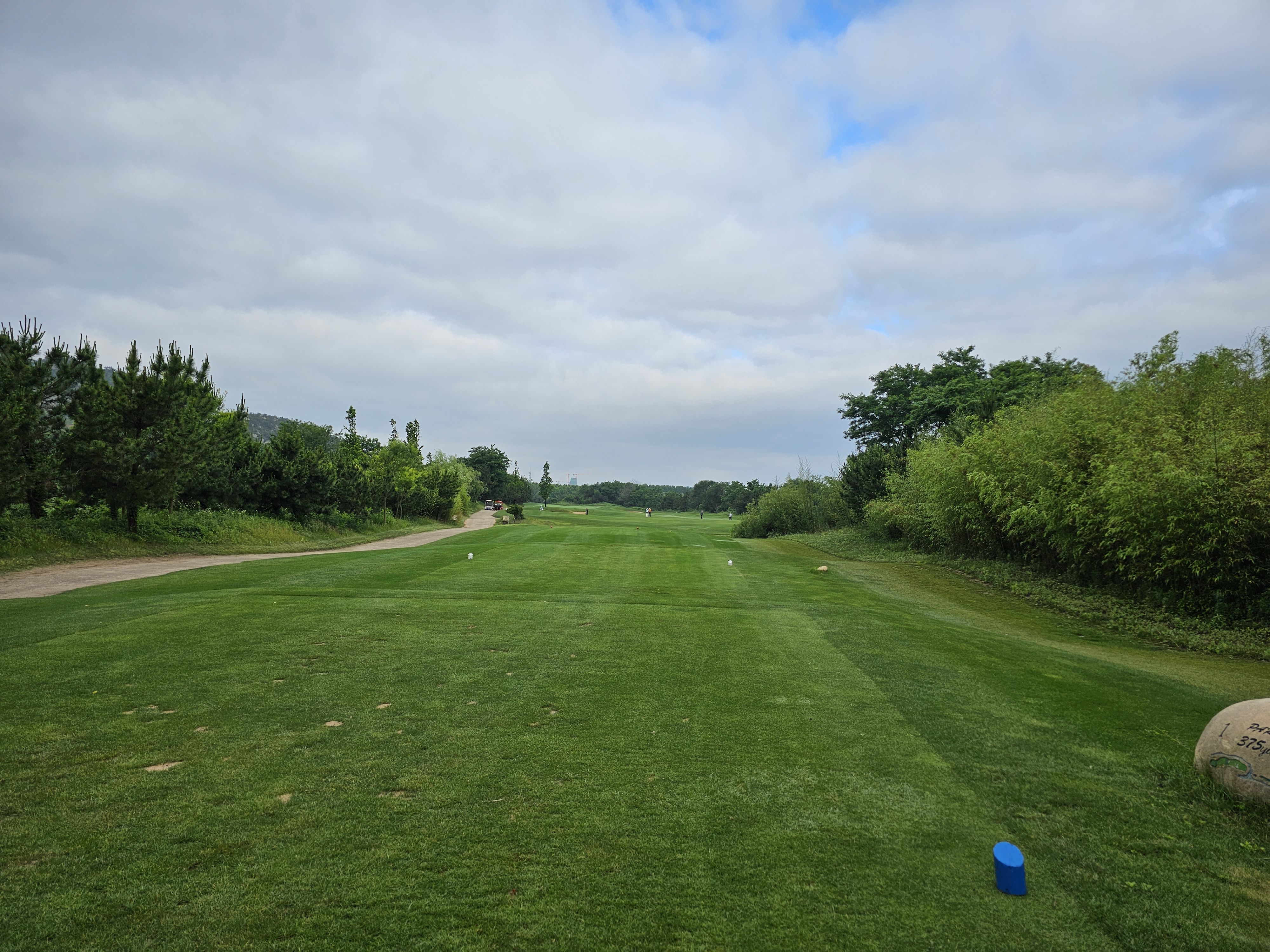 위해 실속 3색 골프 패키지