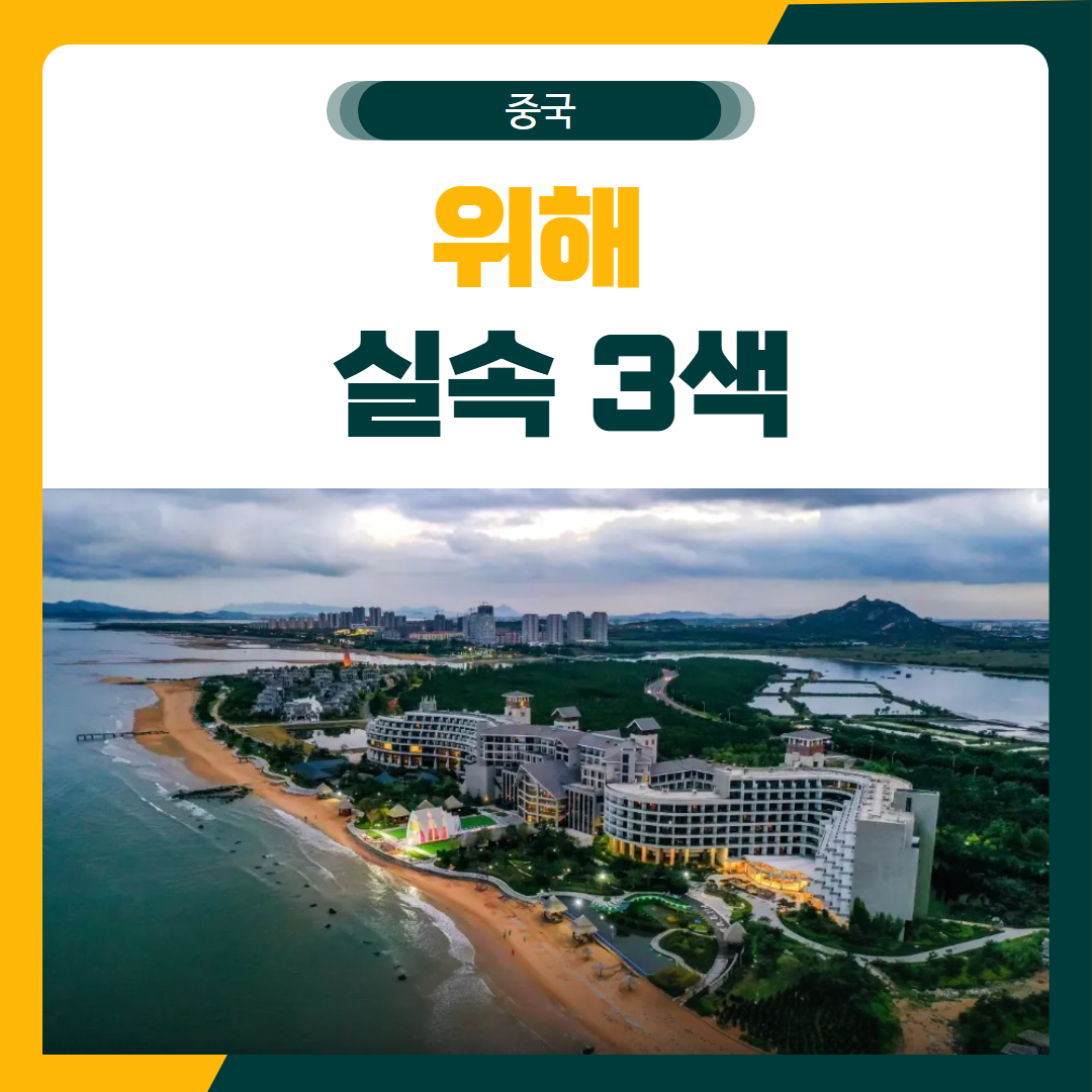 위해 실속 3색 골프 패키지