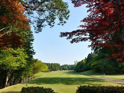 나리타 유이가든 골프 패키지