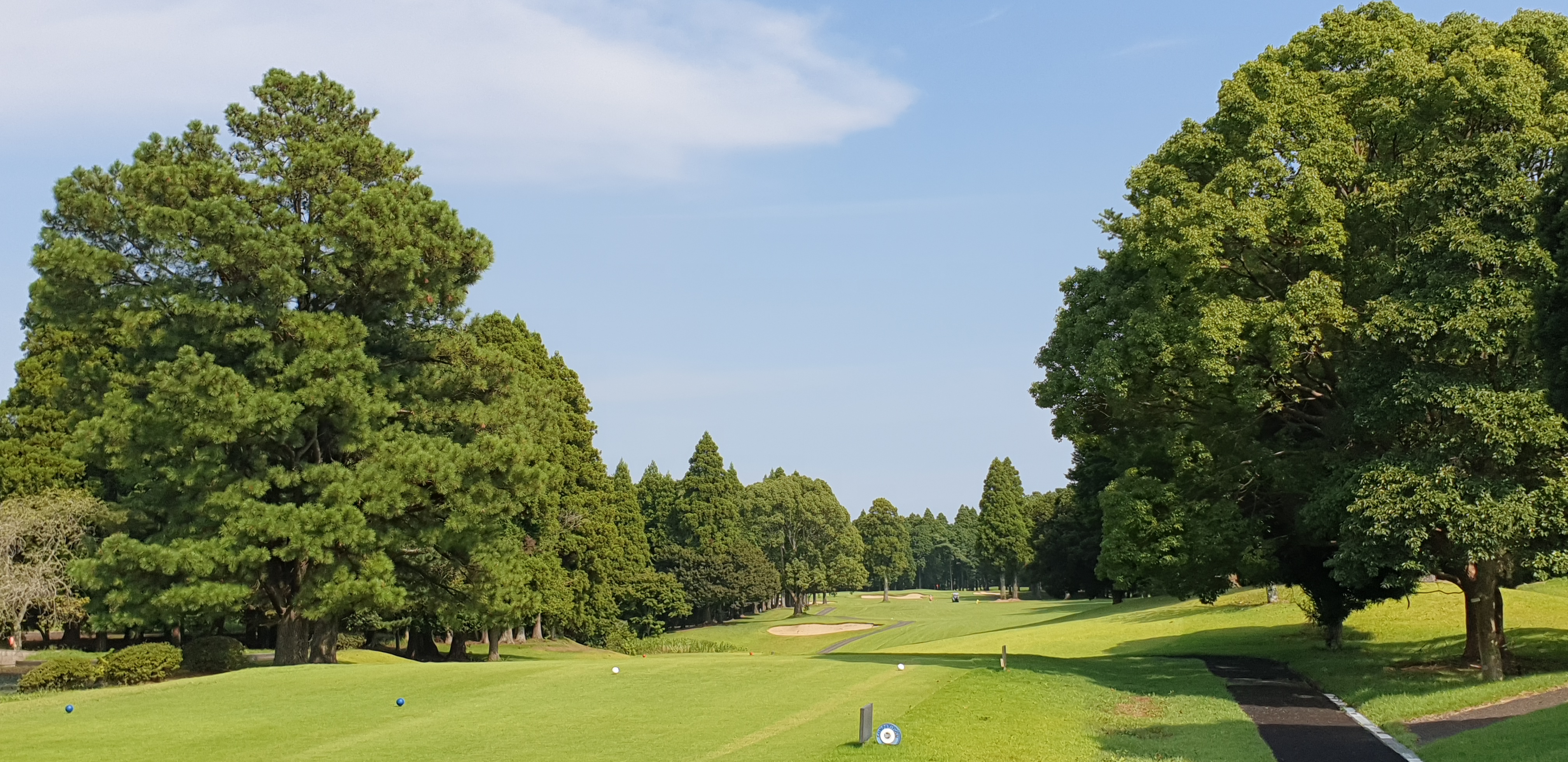 나리타 유이가든 골프 패키지