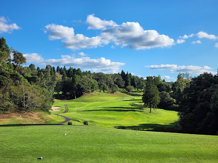 나리타 아파호텔 다색 골프 패키지