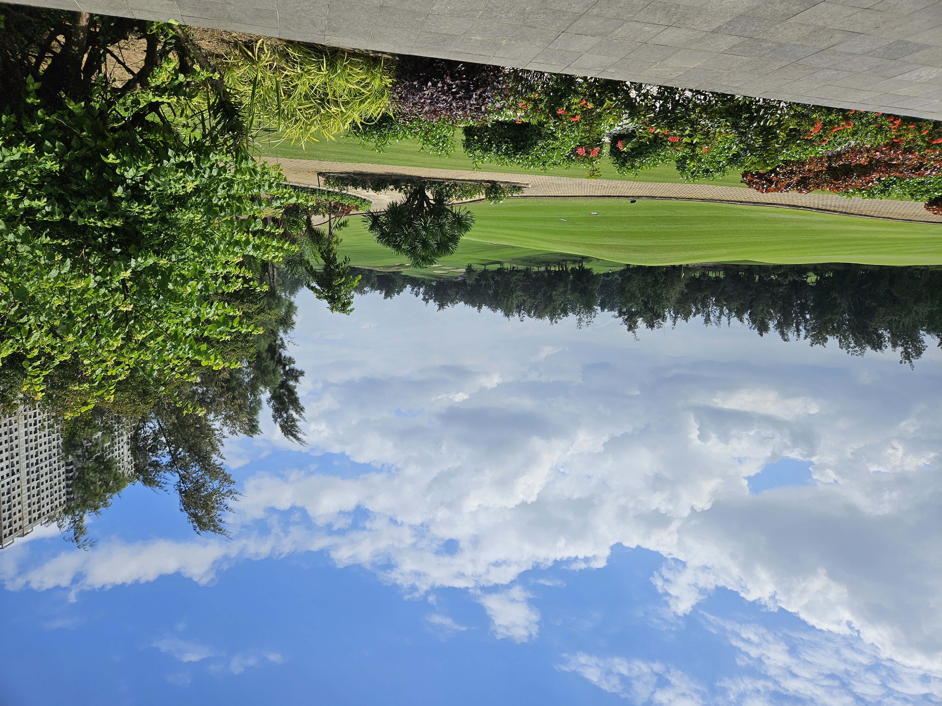 다낭 몽고메리 골프 패키지