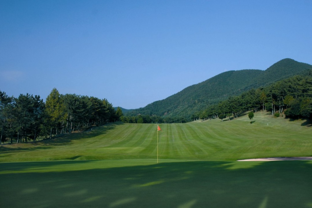 마쓰야마 도큐레이 시내 다색 골프 패키지