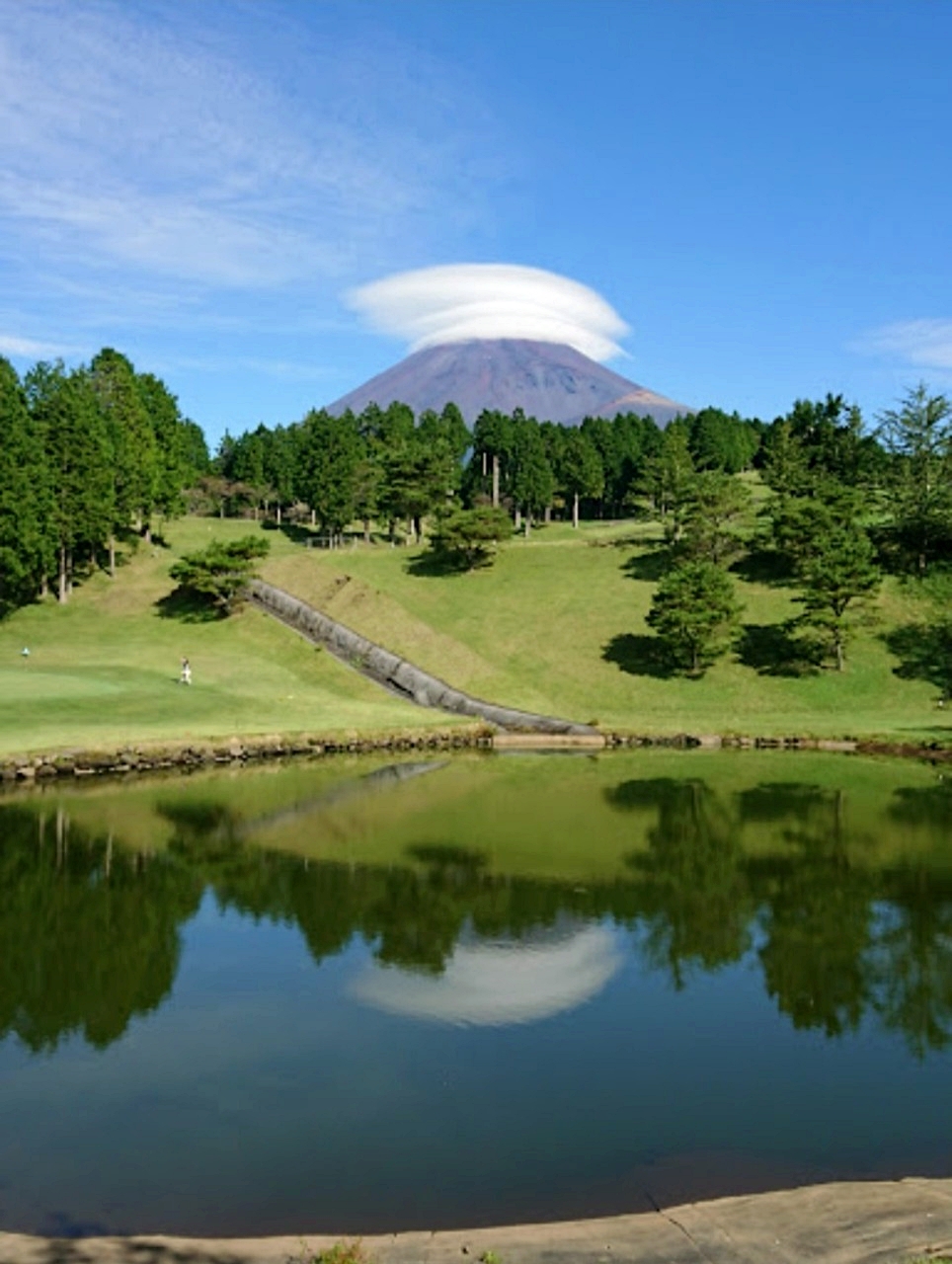 시즈오카 후지 루트인호텔 다색