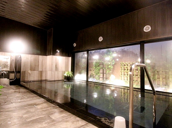 시즈오카 후지 루트인호텔 다색