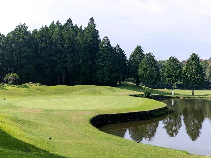 시즈오카 후지 루트인호텔 다색