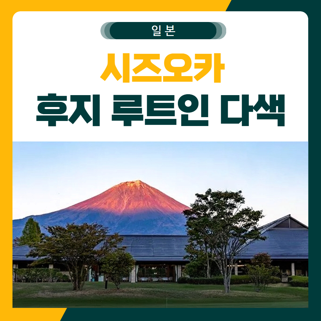 시즈오카 후지 루트인호텔 다색