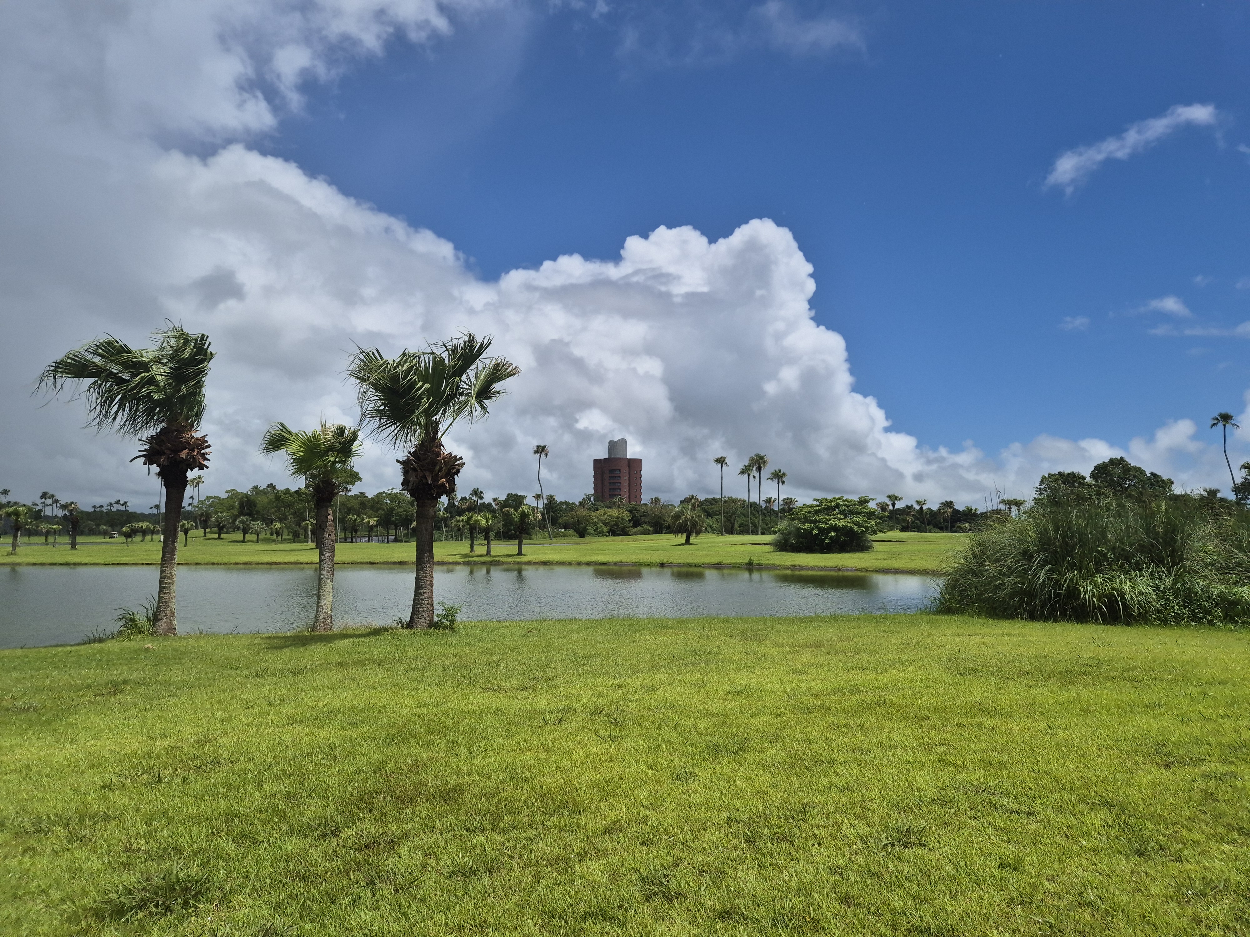 미야자키 아이와 골프 여행 패키지