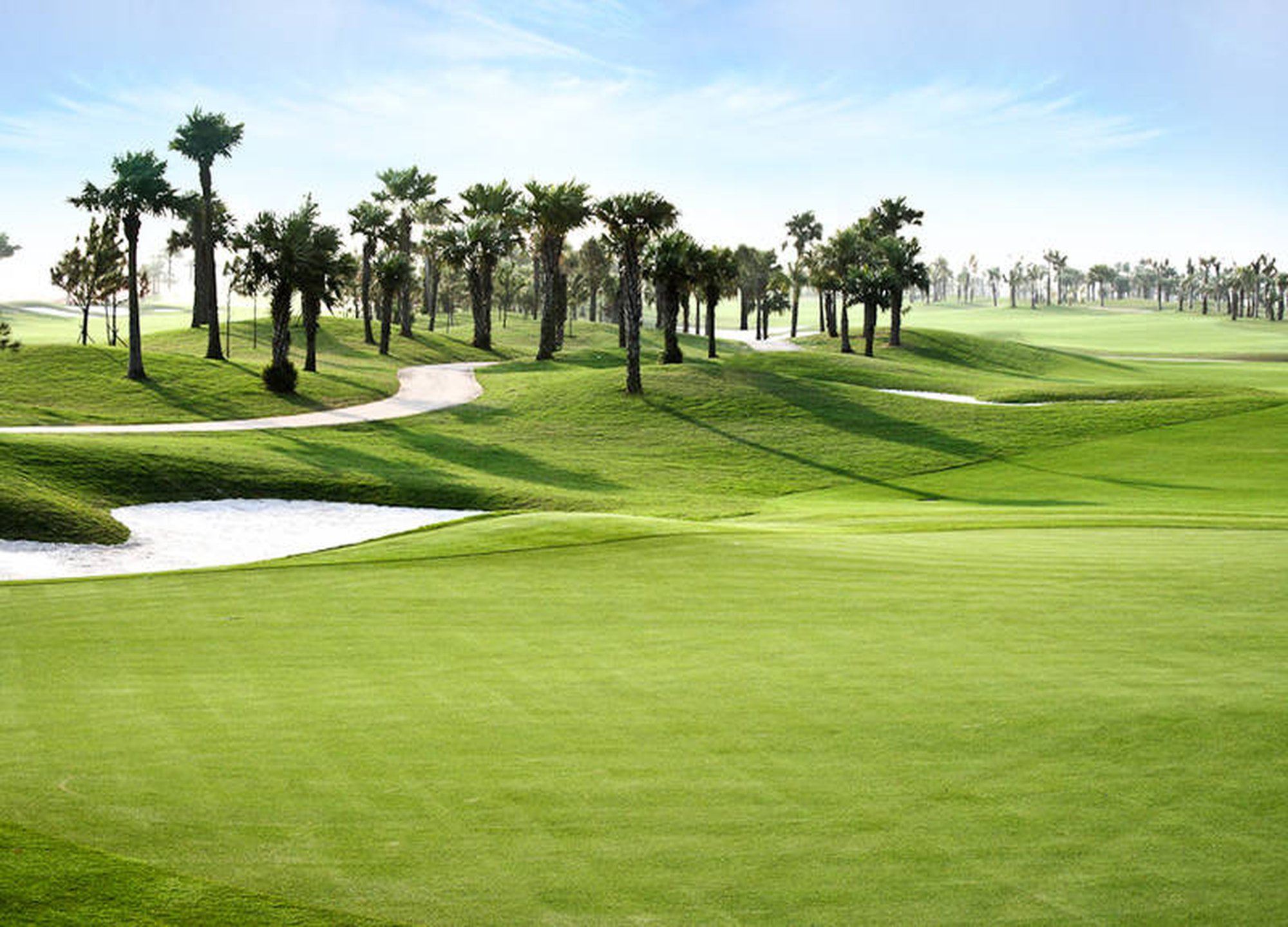 빈푹 시내 3색 골프 여행 패키지