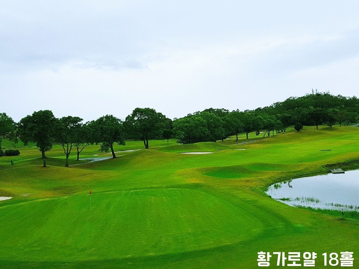 신죽 시내 3색 골프 패키지