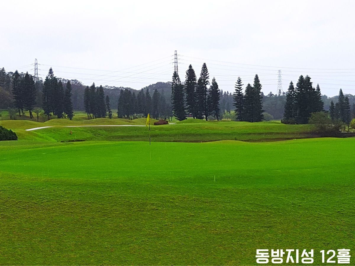 신죽 시내 3색 골프 패키지