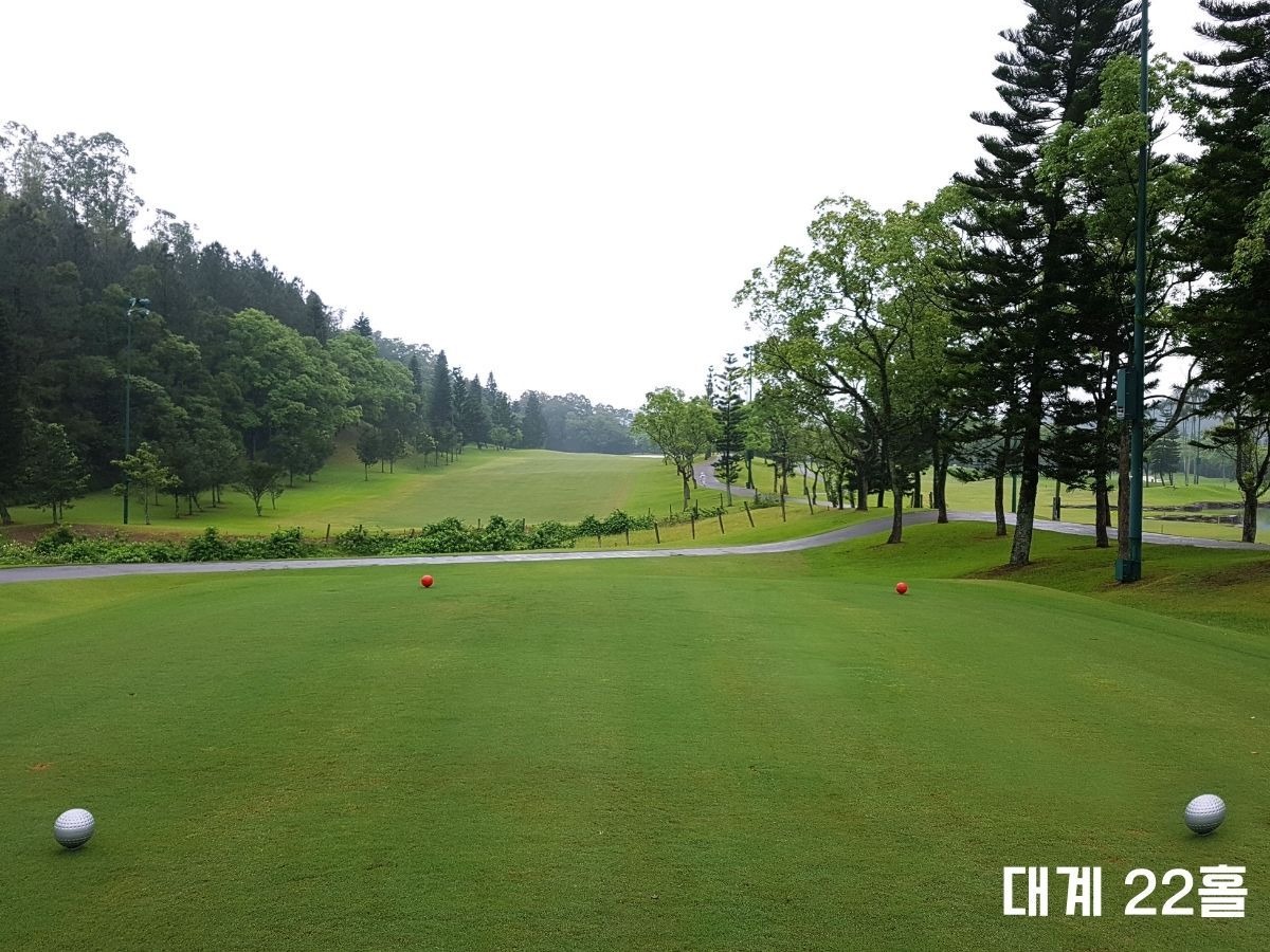 타이페이 LPGA 3색 골프 패키지