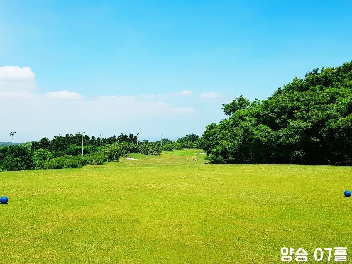 타이페이 LPGA 3색 골프 패키지